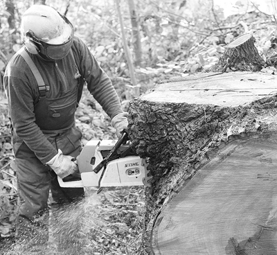 placeholder image-sq